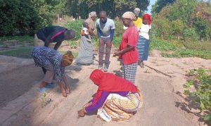 Des femmes et des hommes accompagnés par l'association FANSOTO travaille dans un champ école