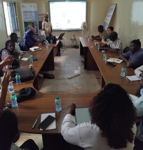 Présentation de France Volontaires à des associations de Kédougou